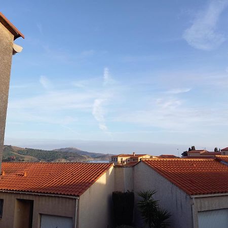 "Villa Llum I Mar", Au Coeur De Banyuls Sur Mer, 3 Chambres Avec Climatisation, 2 Sdb, Garage,6 Personnes, Classee 3 Etoiles エクステリア 写真