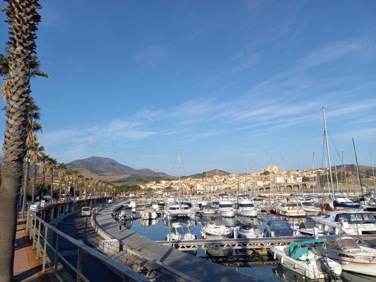 "Villa Llum I Mar", Au Coeur De Banyuls Sur Mer, 3 Chambres Avec Climatisation, 2 Sdb, Garage,6 Personnes, Classee 3 Etoiles エクステリア 写真